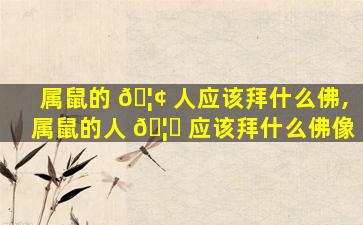 属鼠的 🦢 人应该拜什么佛,属鼠的人 🦍 应该拜什么佛像